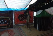 گزارش تصویری پایز جنگل ابر شاهرود